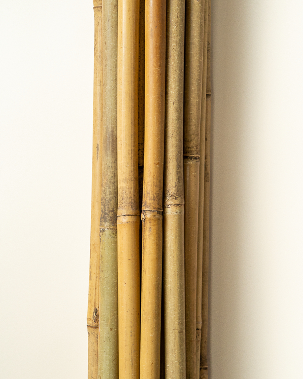 Bamboo stake 60cm