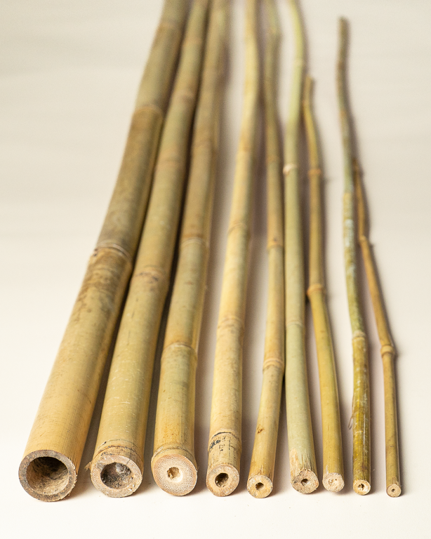 Tuteur Bambou Naturel 60cm pcs