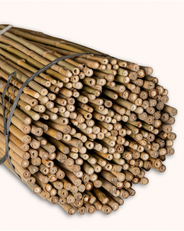 Bamboo Stake 90cm