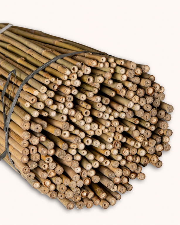 Bamboo Stake 120cm