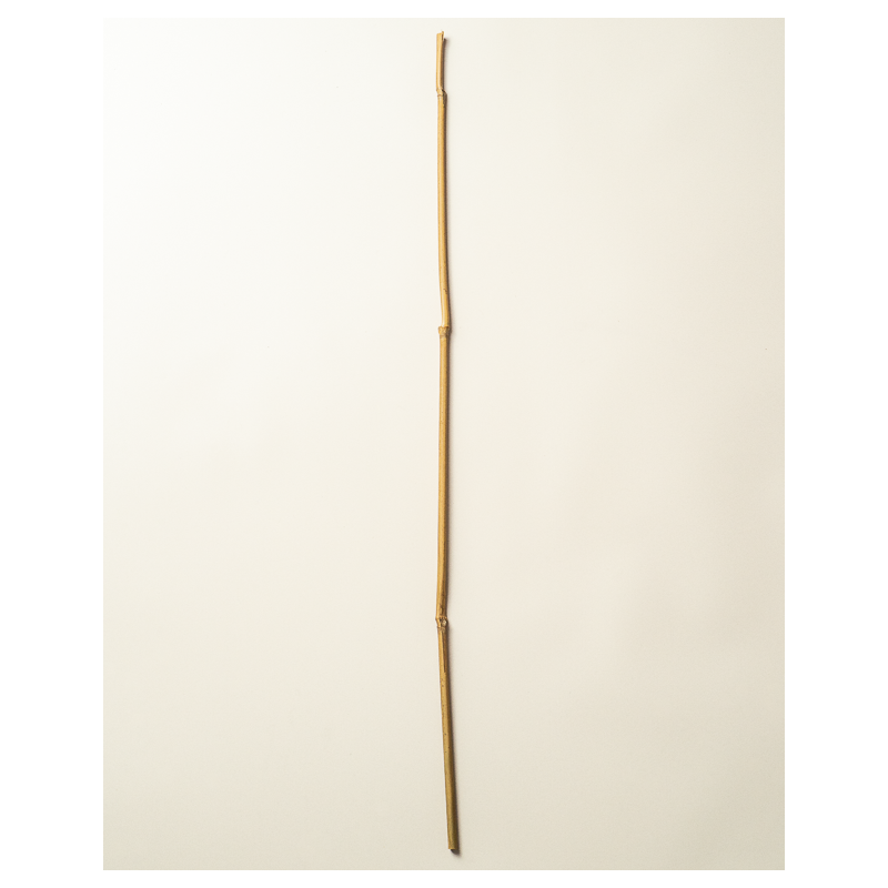 Bamboo Stake 120cm