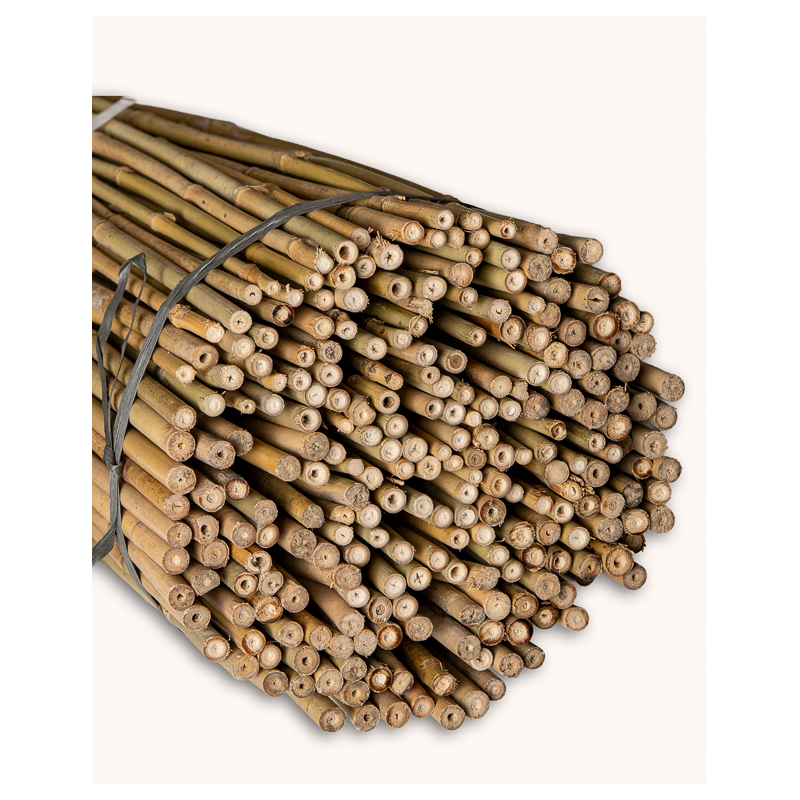 Bamboo Stake 150cm