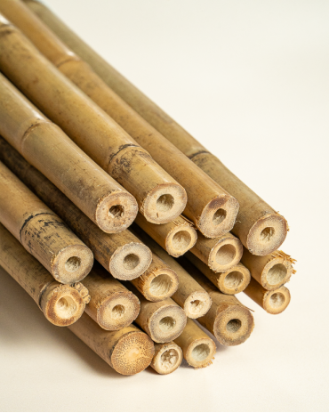 Bamboo Stake 180cm