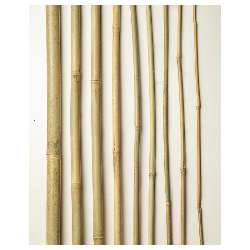 Bamboo Stake 180cm