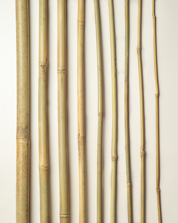 Bamboo Stake 180cm
