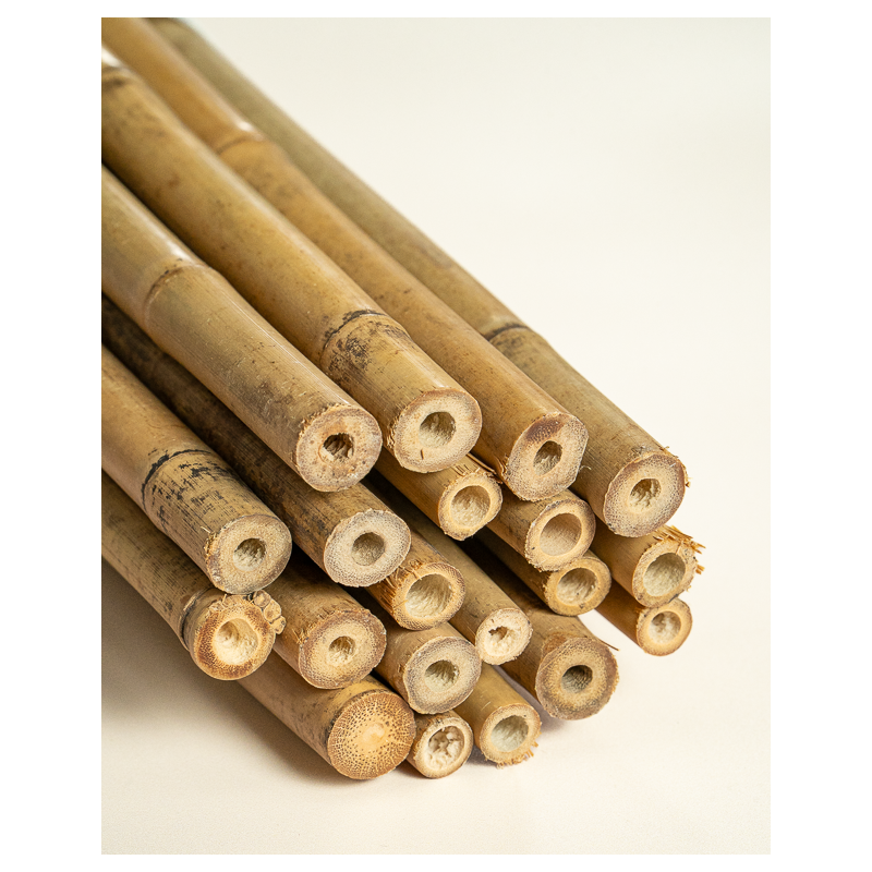 Tuteur Bambou Naturel 210cm pcs