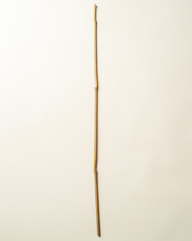 Bamboo Stake 210cm