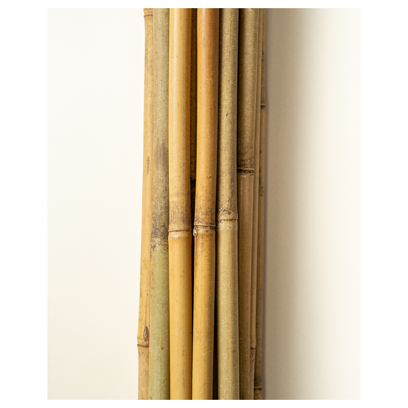 Tuteur Bambou Naturel 210cm pcs