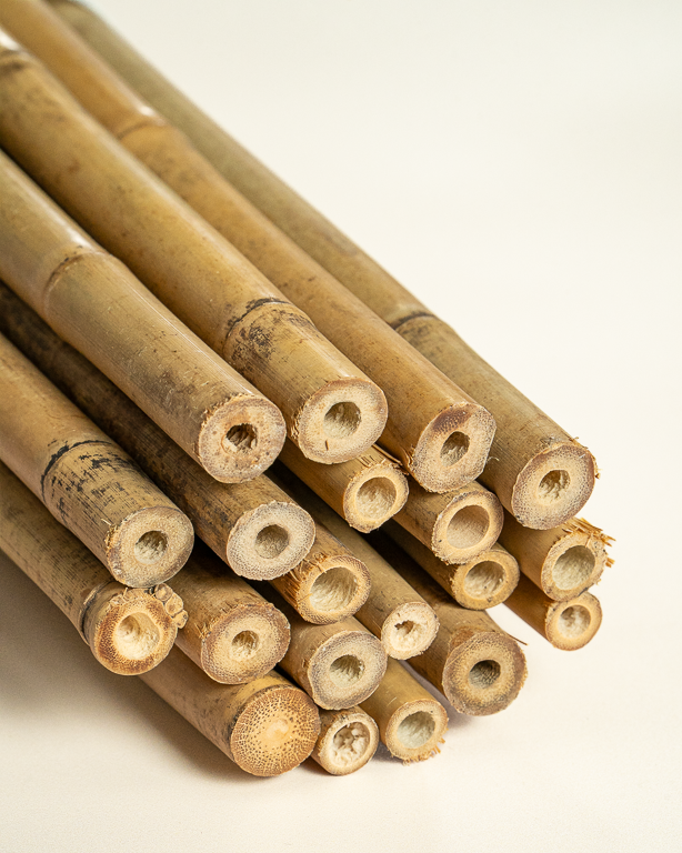 Bamboo Stake 244cm