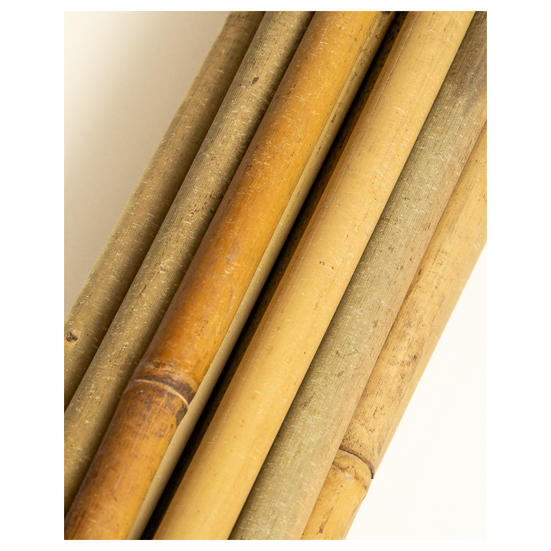 Tuteur Bambou Naturel 244cm pcs
