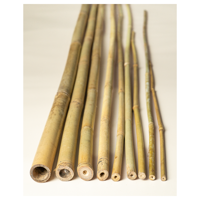 Bamboo Stake 244cm