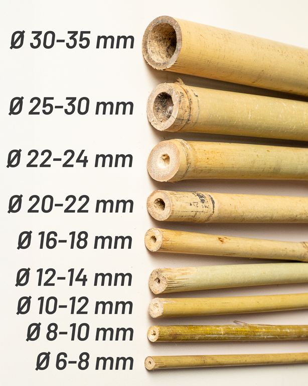 Bamboo Stake 244cm
