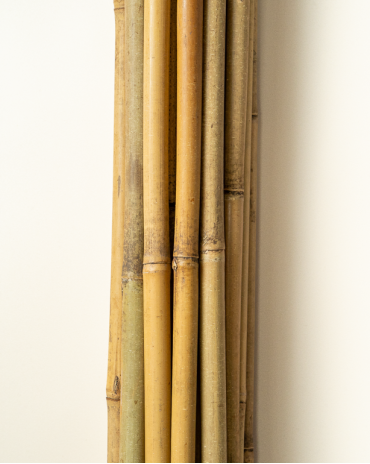 Tuteur Bambou Naturel 300cm pcs