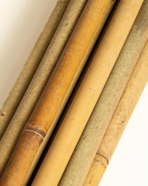 Bamboo Stake 300cm