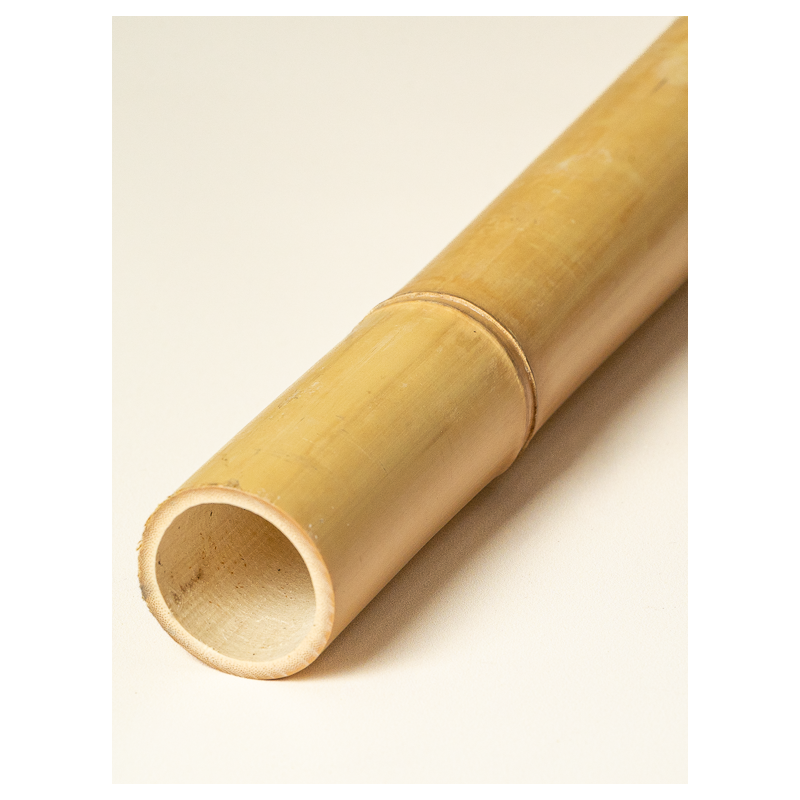 Big Natural Bamboo 295cm