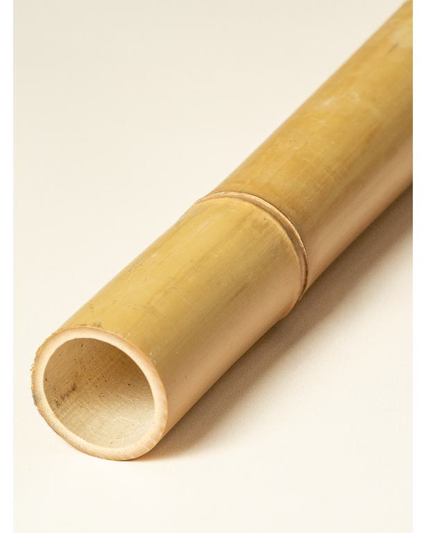 Big Natural Bamboo 295cm
