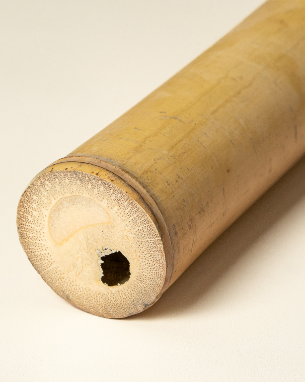 Big Natural Bamboo 295cm