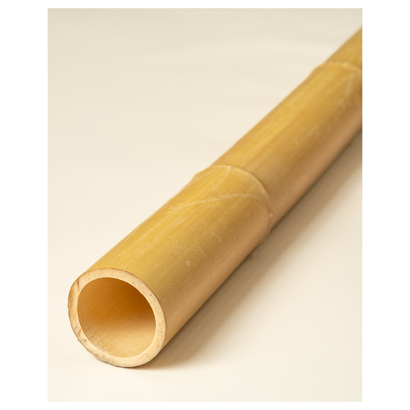 Big Natural Bamboo 295cm