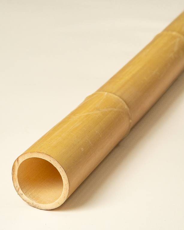Big Natural Bamboo 295cm