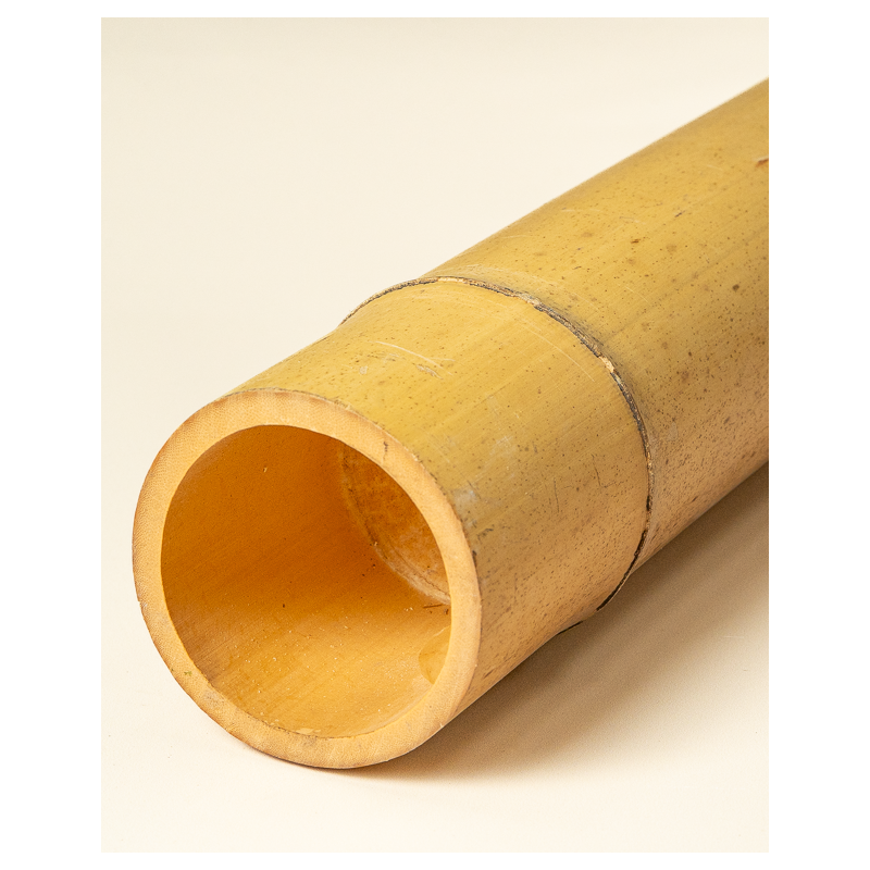 Big Natural Bamboo 295cm
