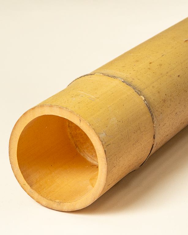 Big Natural Bamboo 295cm