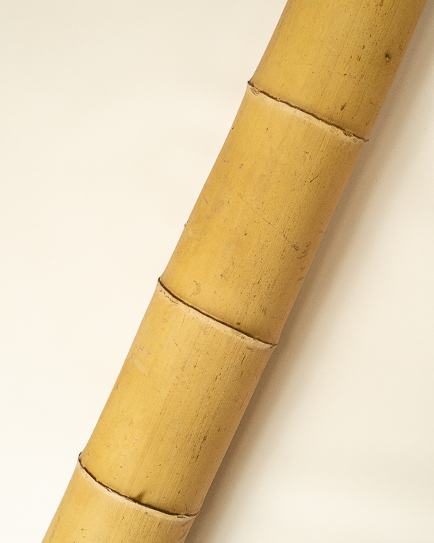 Big Natural Bamboo 295cm