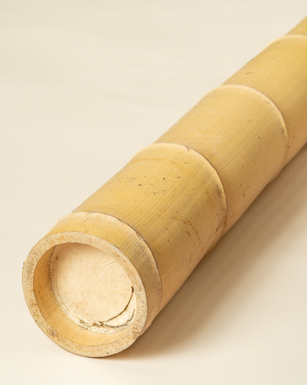 Big Natural Bamboo 590cm