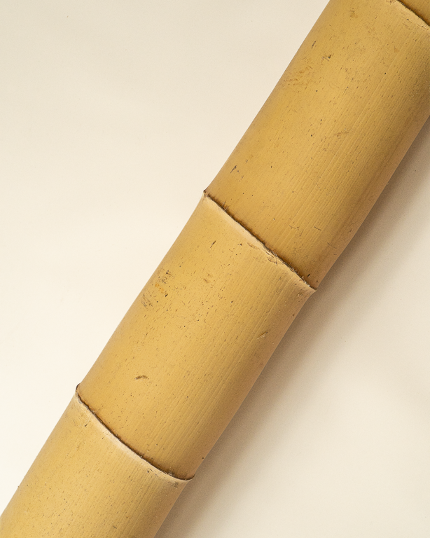 Big Natural Bamboo 590cm
