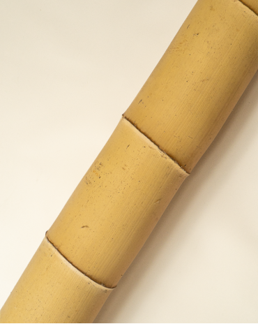 Big Natural Bamboo 590cm