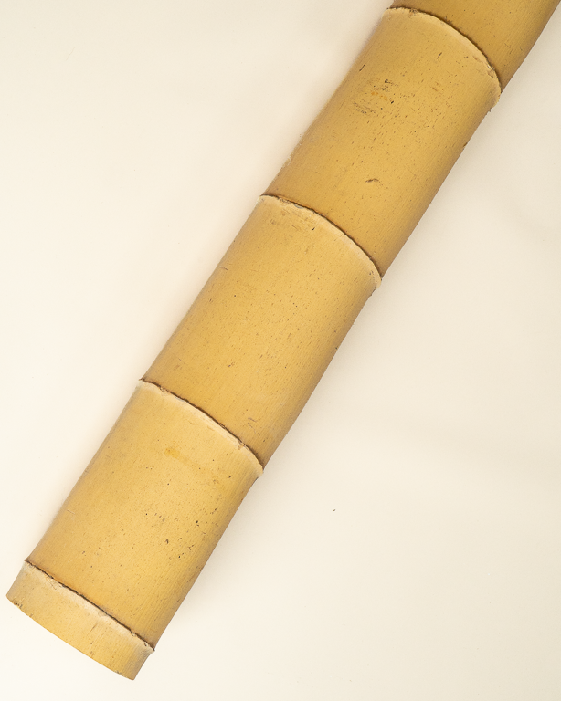 Big Natural Bamboo 590cm