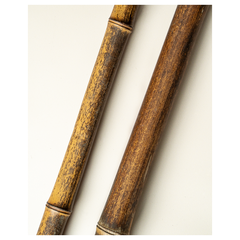 Bambou Négra Naturel 295cm