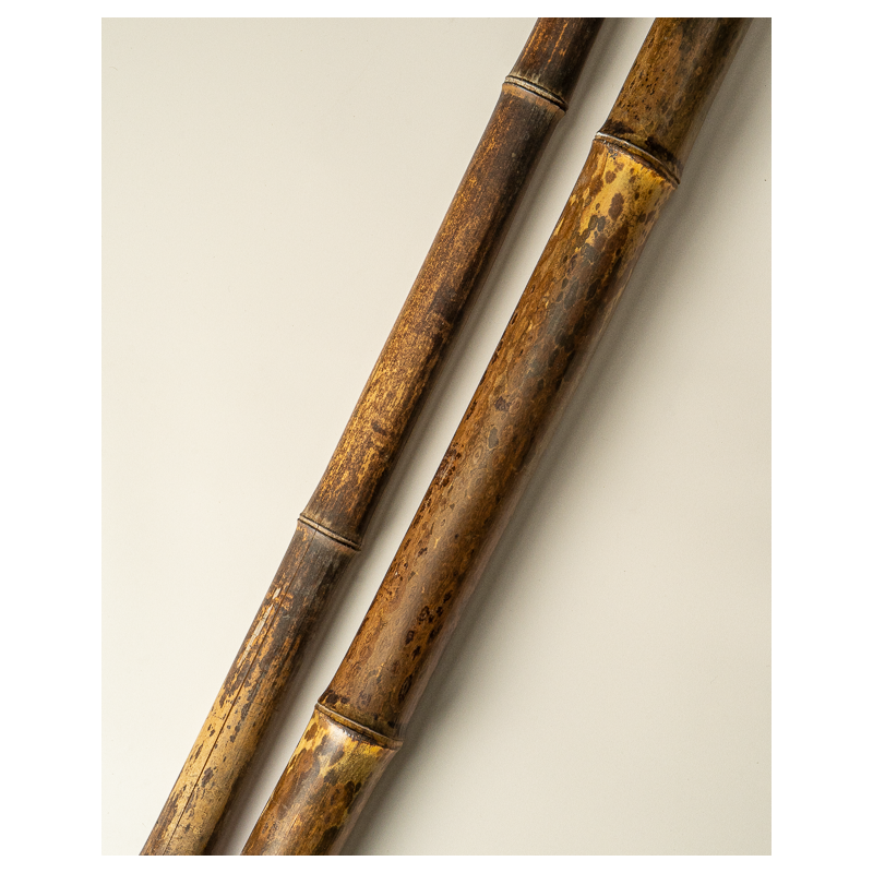 Natural Negra Bamboo 295cm