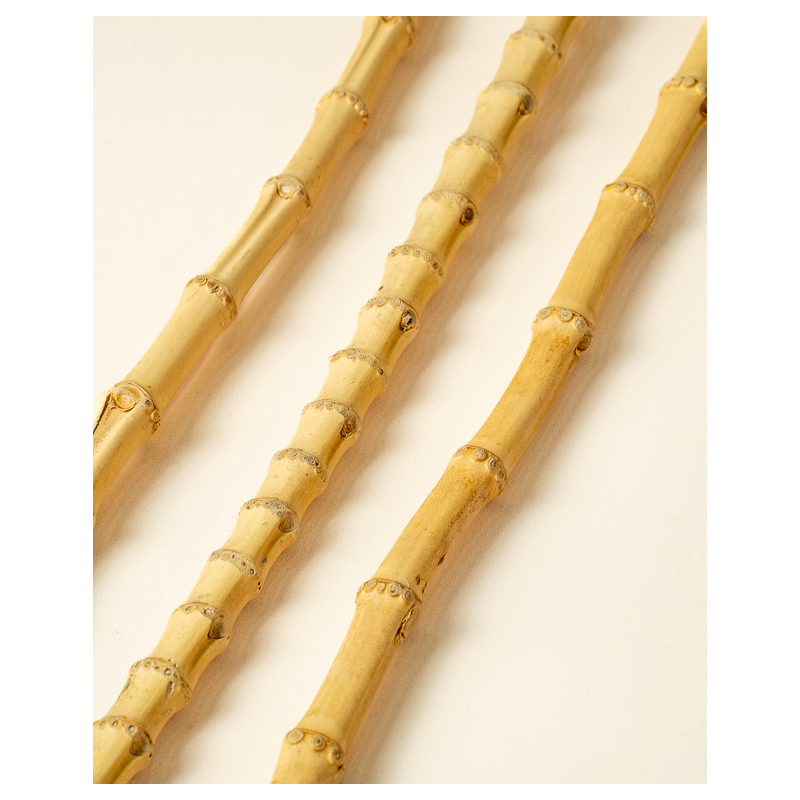 Bamboo root