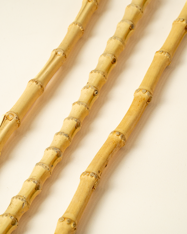 Bamboo root