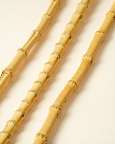 Bamboo root