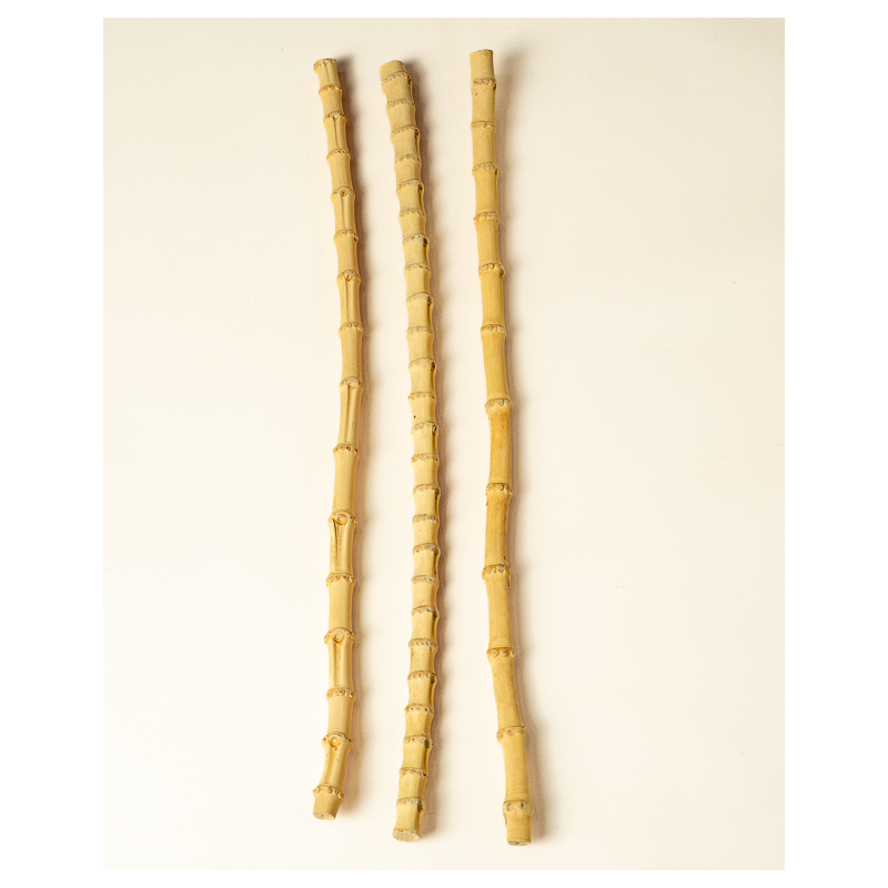 Bamboo root
