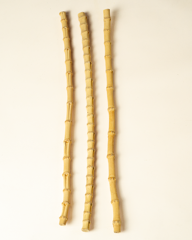 Bamboo root