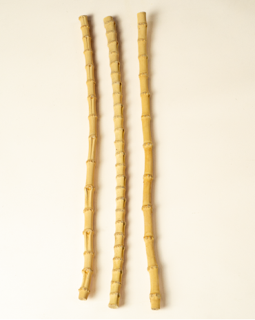 Bamboo root