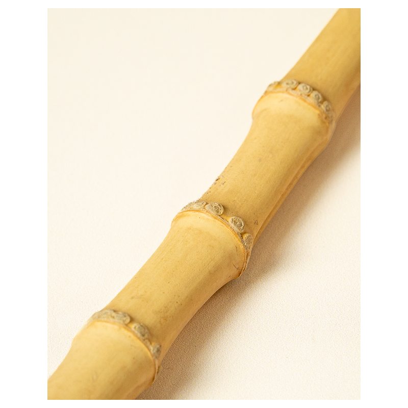 Racine de Bambou