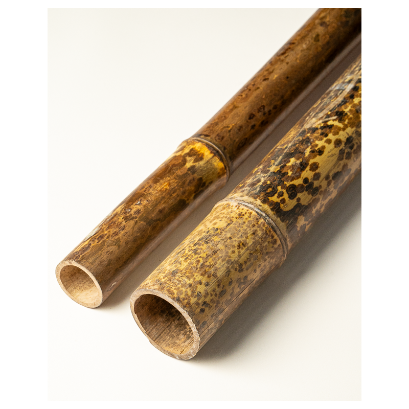 Bambou Naturel Tigré 295cm
