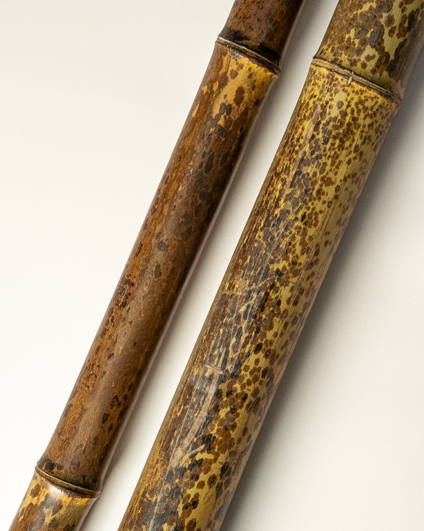 Bambou Naturel Tigré 295cm