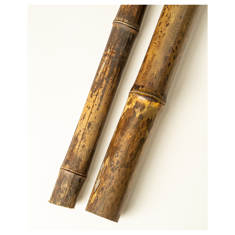 Bambou Naturel Tigré 295cm