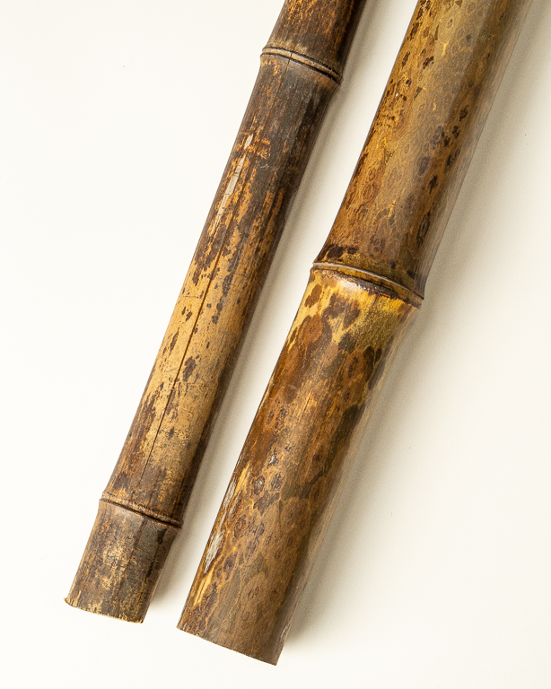 Bambou Naturel Tigré 295cm