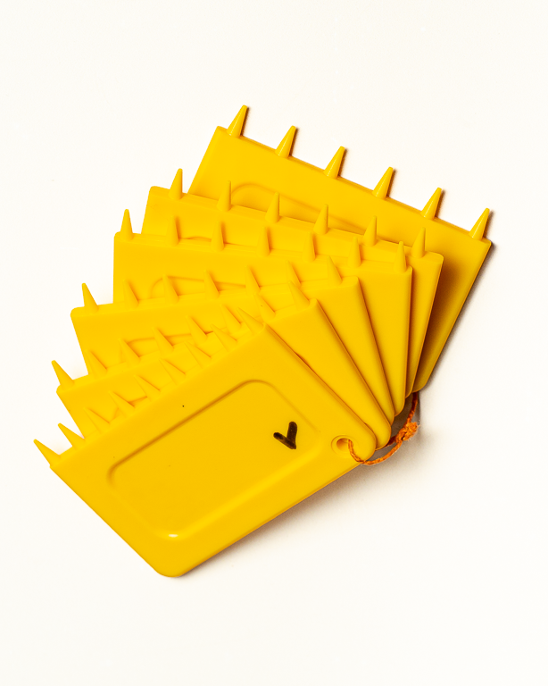 Jeu de 6 Peigne à Canner