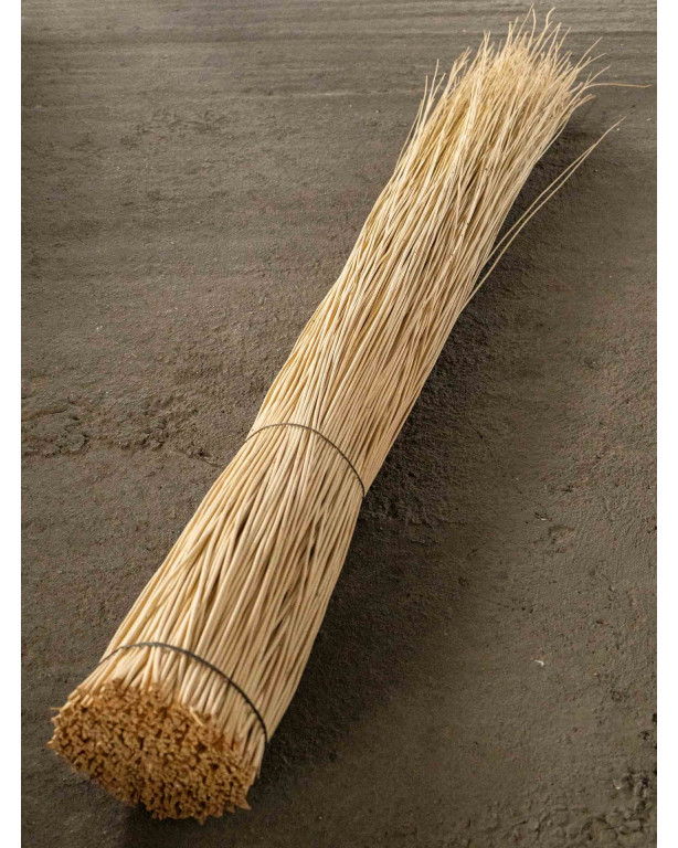 White Willow – Basketry | Maison Douineau