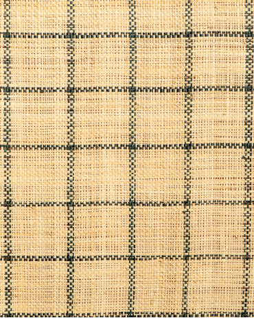 Checks Raffia Weave Black & Natural | Maison Douineau