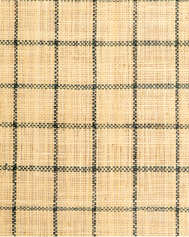 Checks Raffia Weave Black & Natural | Maison Douineau