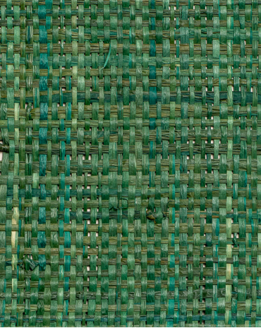 Tight-Mesh Raffia Weave Green | Maison Douineau