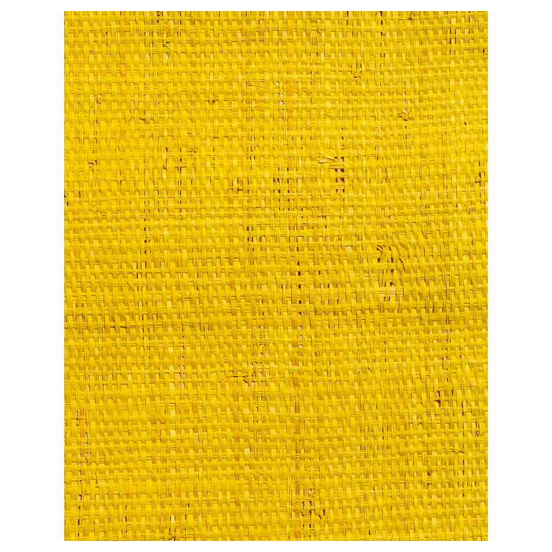Tight-Mesh Raffia Weave Yellow | Maison Douineau