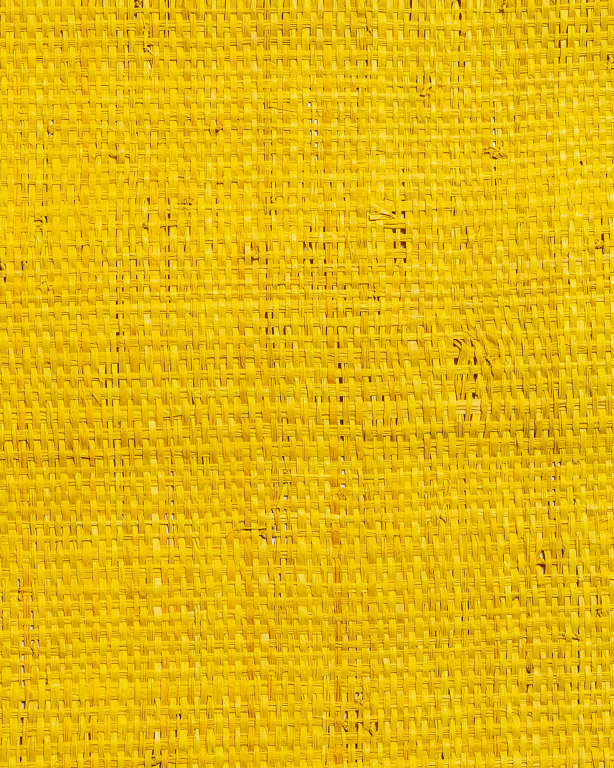 Tight-Mesh Raffia Weave Yellow | Maison Douineau